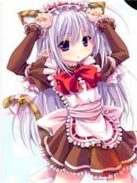 一只苍蝇飞过半个森林