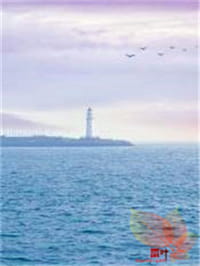 我喜欢太阳的味道