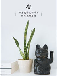 什么是单相思？我爱你，你不爱我，仅此而已！