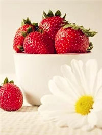 星愿：“最近睡得还好，做梦也不慌了，我想我大概快忘记你了。”