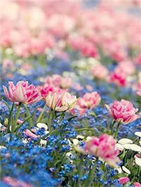 星愿：走在前面的人，才有资格说，人生真够爽啊！