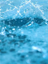 星愿伤感：我不愿意舍弃我的不甘心，从此心无他物。